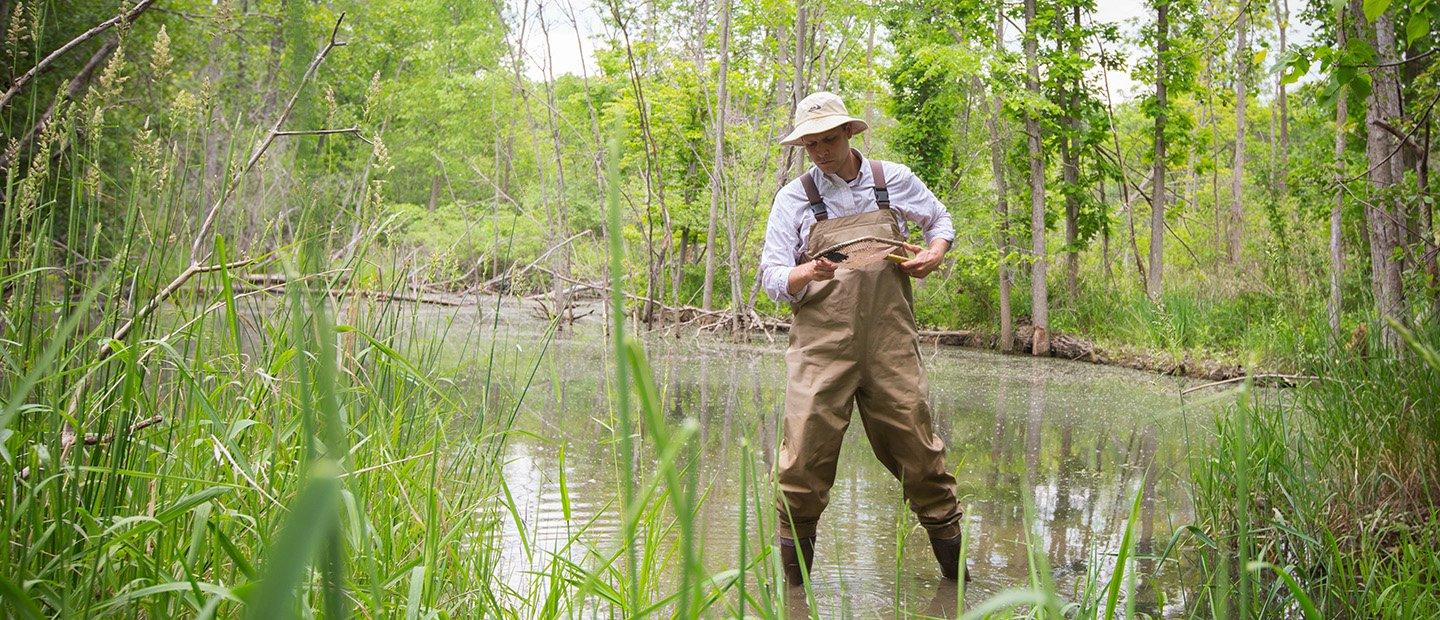 A person standing in a pond, holding a small net.